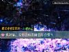 《找对象，没有这样的颜值你会要？》测试