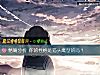 《精确分析 你的性格是猫头鹰型的吗？》测试