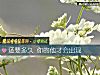 《还要<i>多久</i> 你的他才会出现》测试