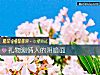 《礼物测<i>情人</i>的阴暗面》测试