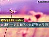 《测你<i>什么时候</i>不应该把姿态放低》测试