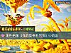 《测性格像《我的莫格利男孩》中的谁》测试