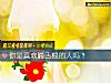 《你是喜欢嚼舌根的人吗？》测试