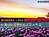 《测试你是单性恋还是双性恋》测试