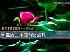 《最近三年你有啥危机》测试