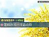 《怎样的另一半<i>适合</i>你》测试