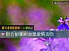 《你会被哪种<i>浪漫</i>爱情烫伤》测试