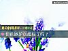 《你的嫉妒心超标了吗？》测试