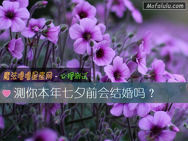 测你本年七夕前会结婚吗？