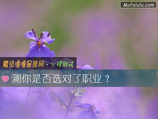 测你是否选对了职业？