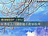 《<i>本年</i>五月测你能不能够脱单》测试